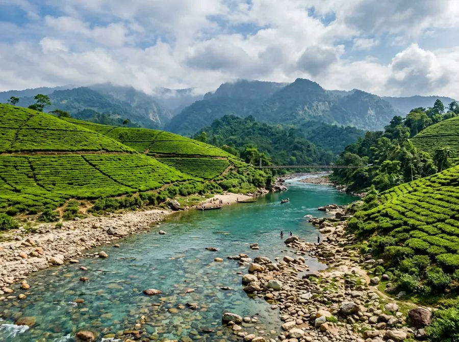 পারিবারিক ট্যুর